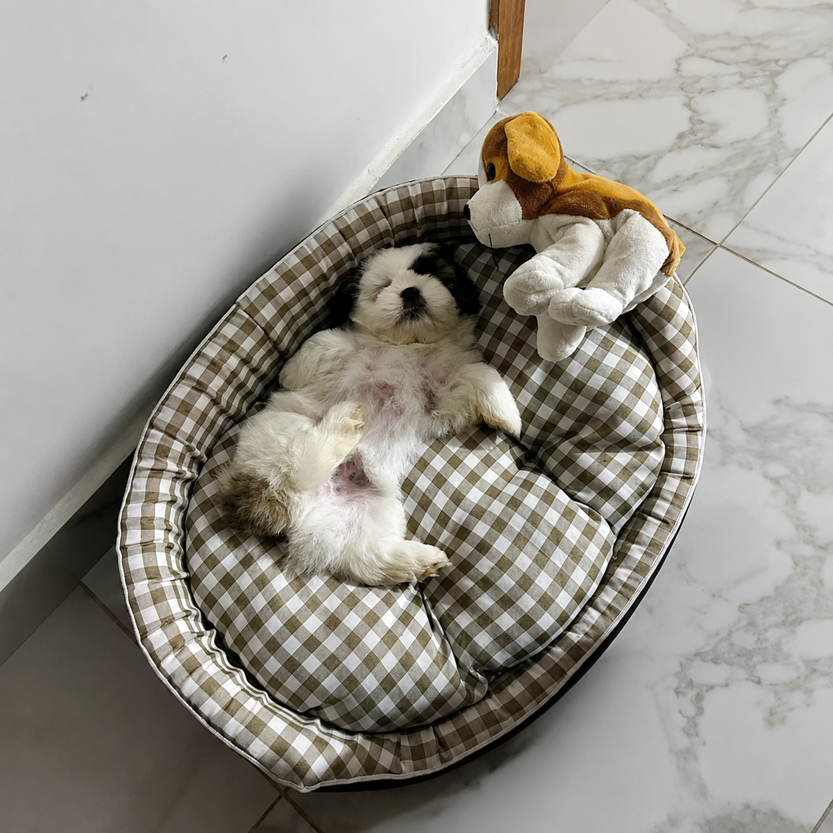 Cama Impermeável e Resistente para Cachorros e Gatos