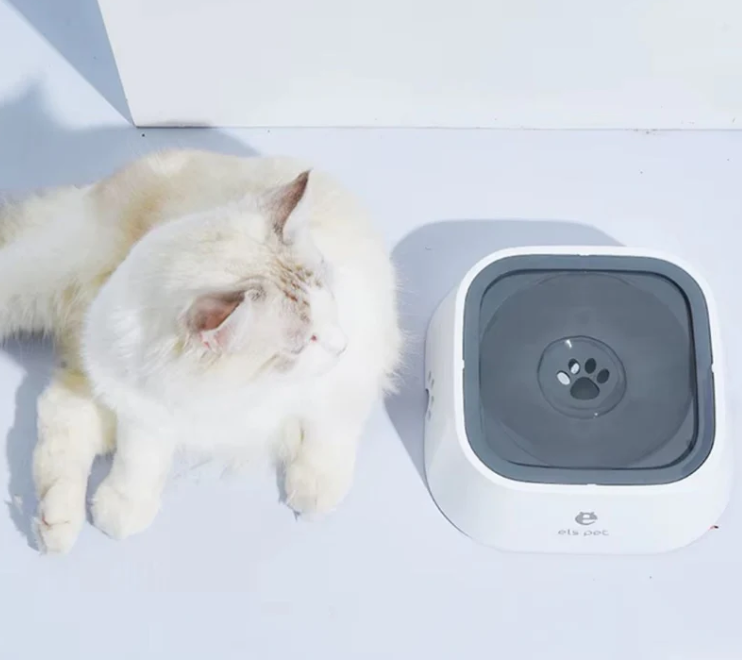 Bebedouro Antirrespingo para Pets - Sistema Flutuante