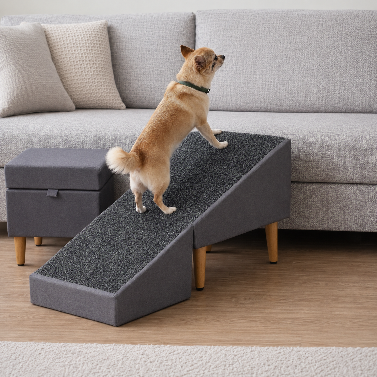 Rampa Pet - até 25kg