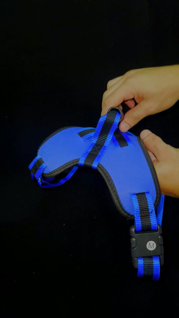 coleira e Guia para cachorro nome personalizado coleira peitoral conforto peiteira sistema amortecedor impacto regulagem