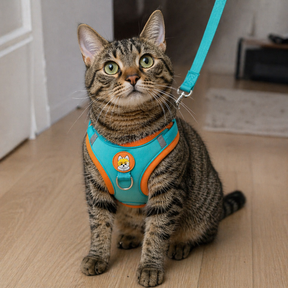 Coleira Peitoral Antipuxão com Guia – Para Cães e Gatos