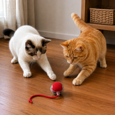 Bola Interativa Recarregável para Gatos