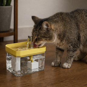 Fonte Automática para Pets com Filtro 1.5L | Bomba Silenciosa