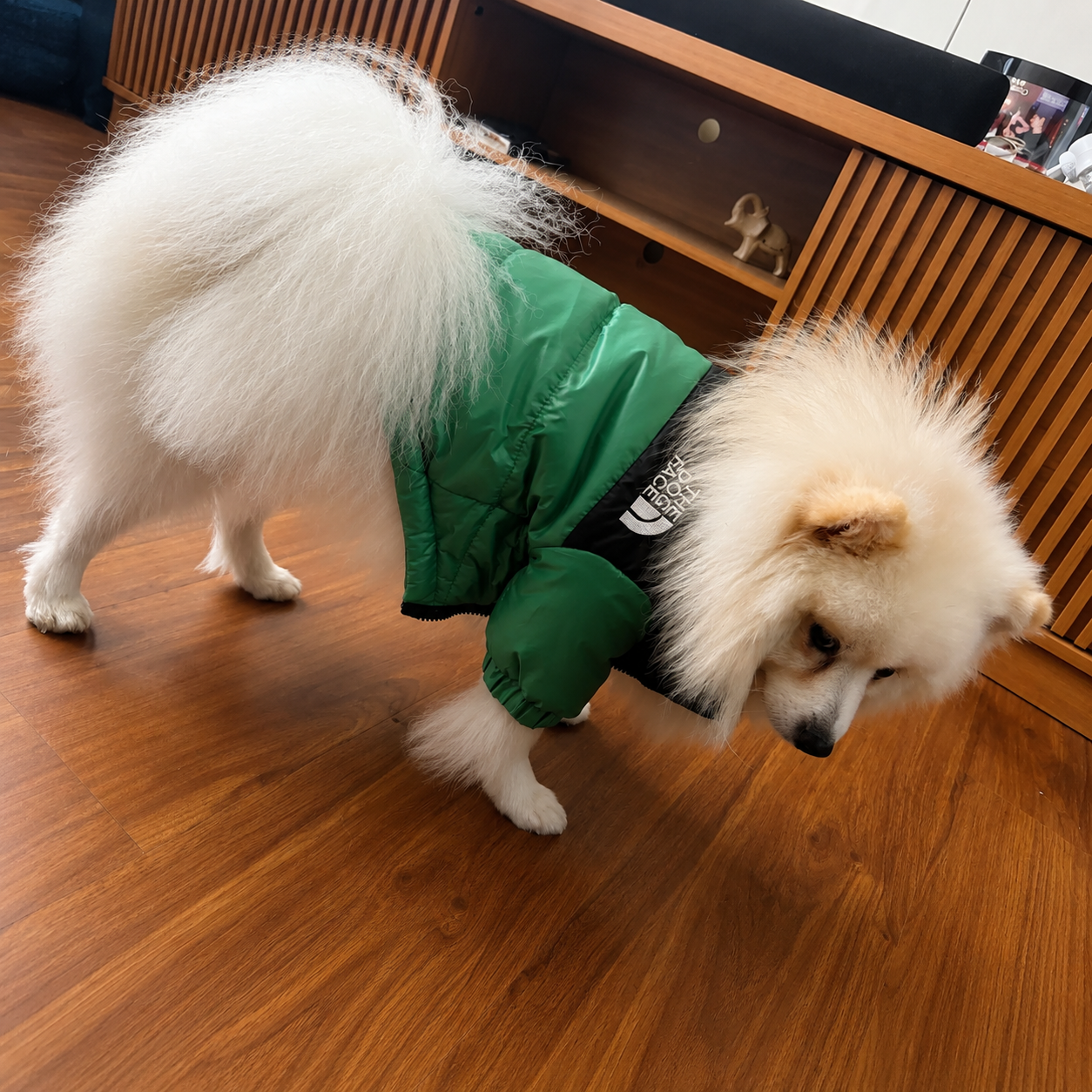 Jaqueta The Dog Face Pet | Roupa de Inverno à Prova de Vento para Cães