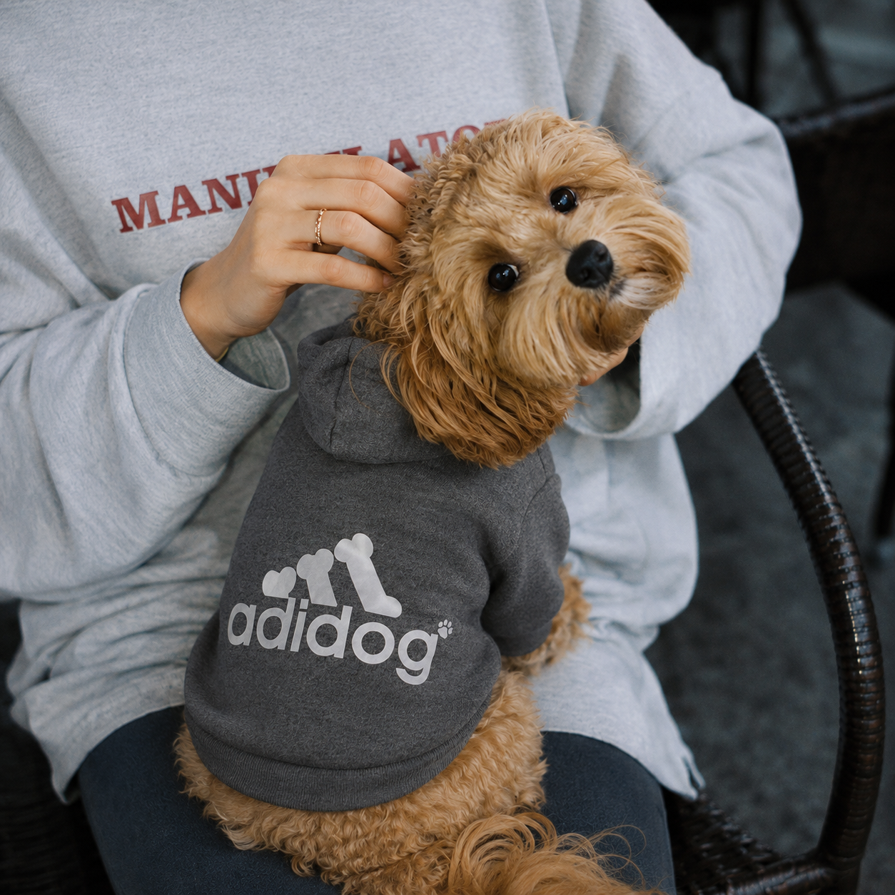 Moletom para Cachorro c/ Capuz Roupinha Pet Touca Adidog
