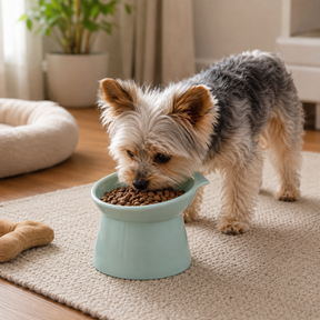 Comedouro Elevado Antiengasgo para Pets