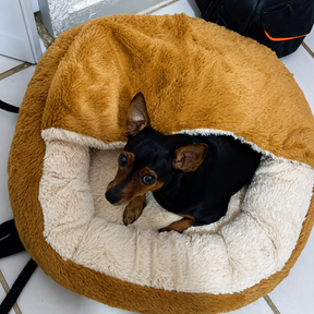 Cama Refúgio Nuvem Pet