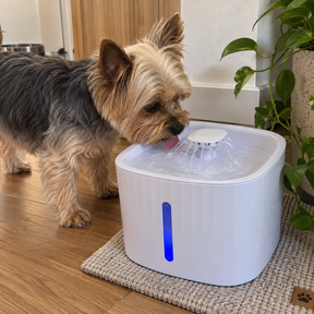 Fonte Automática Pets- Com filtro 3L