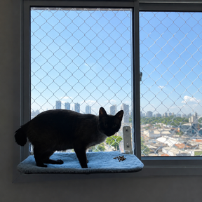 Cama Suspensa para Gatos com Ventosa de Janela