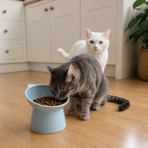 Comedouro Elevado Antiengasgo para Pets