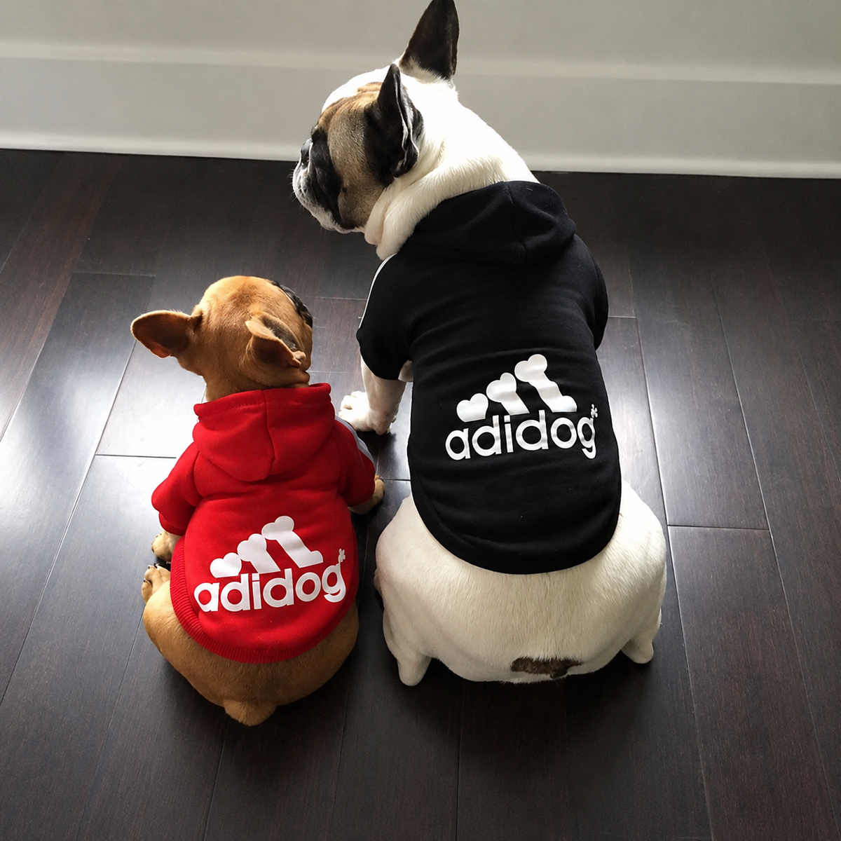 Moletom para Cachorro c/ Capuz Roupinha Pet Touca Adidog