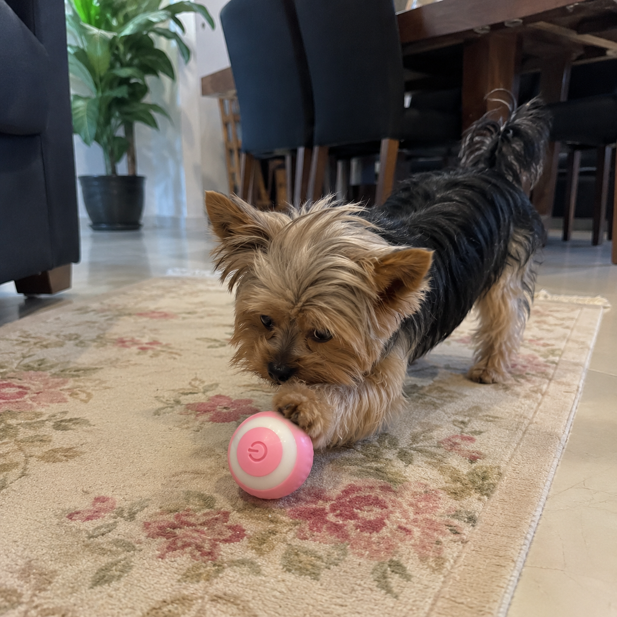 Bolinha Interativa Inteligente PetSmart™ – Diversão Sem Fim para Cães e Gatos!