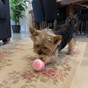 Bolinha Interativa Inteligente PetSmart™ – Diversão Sem Fim para Cães e Gatos!