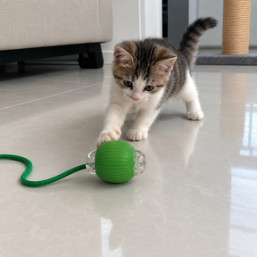 Bola Interativa Recarregável para Gatos