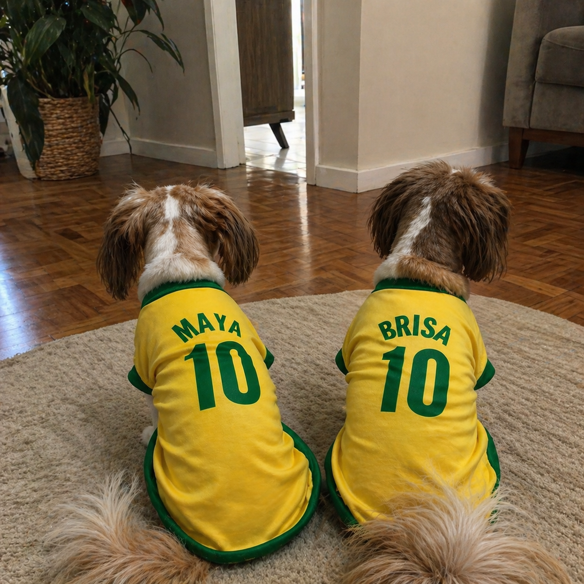 Roupinha Pet Copa do Mundo| Personalizada com Nome