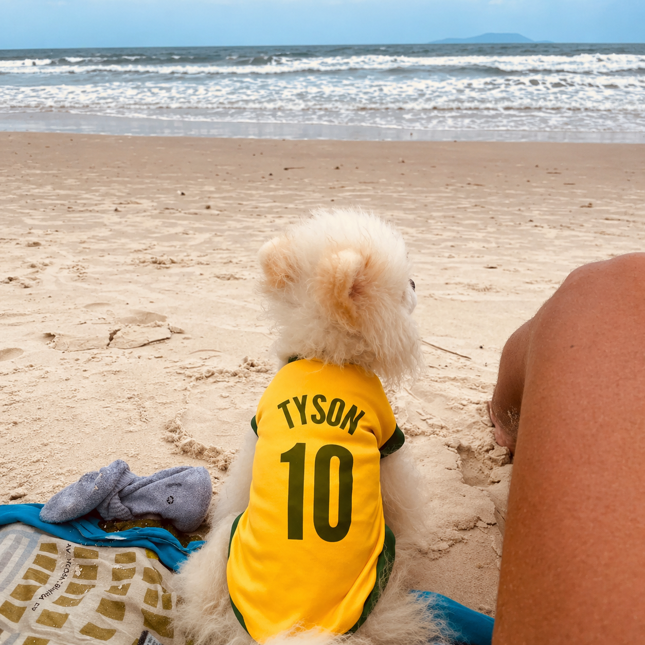 Roupinha Pet Copa do Mundo| Personalizada com Nome