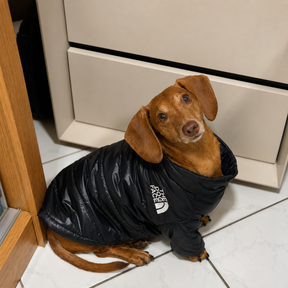 Jaqueta de Inverno Pet The Dog Face | Proteção & Estilo