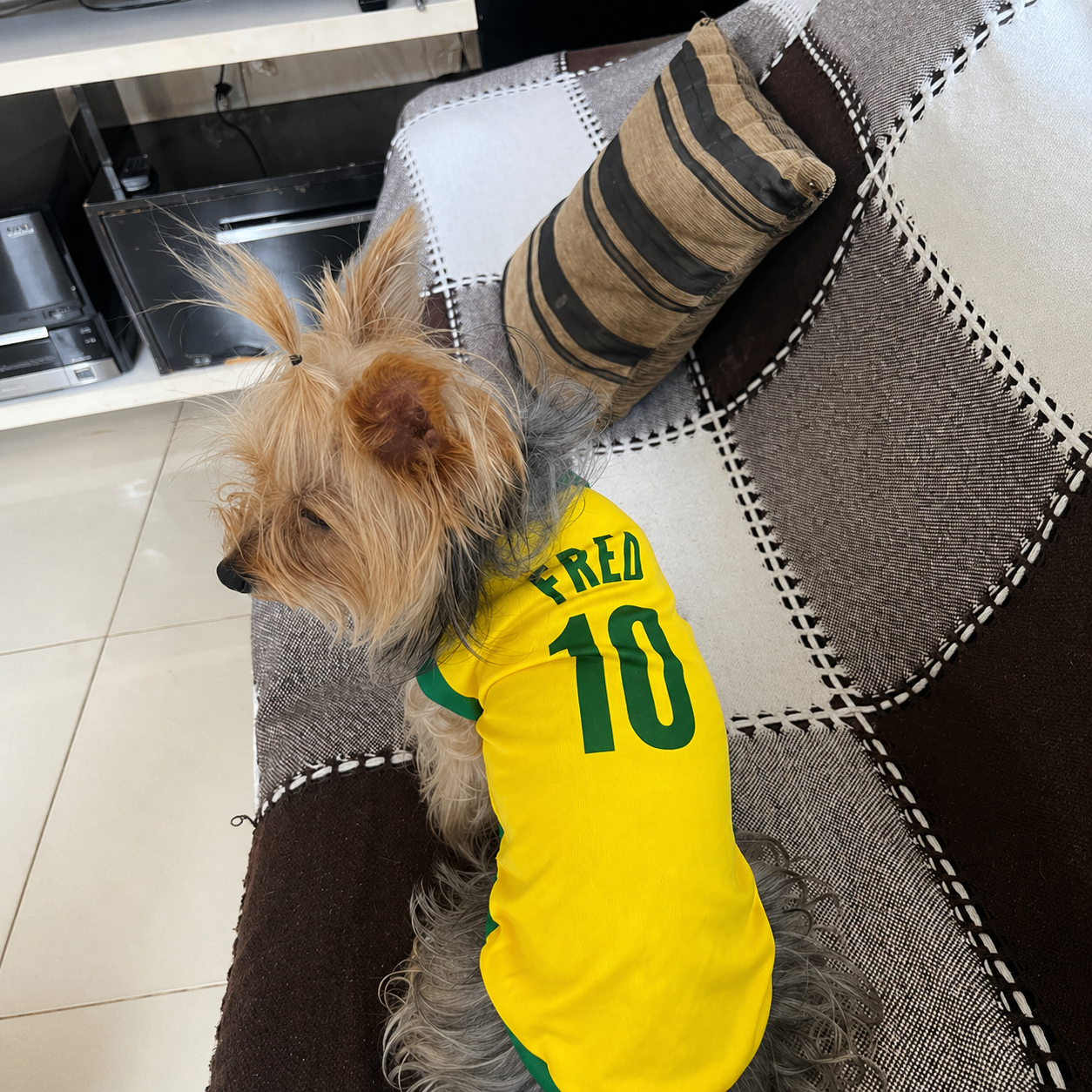 Roupinha Pet Copa do Mundo| Personalizada com Nome