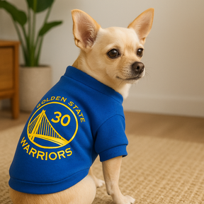 Moletom de Inverno Pet Estilo NBA