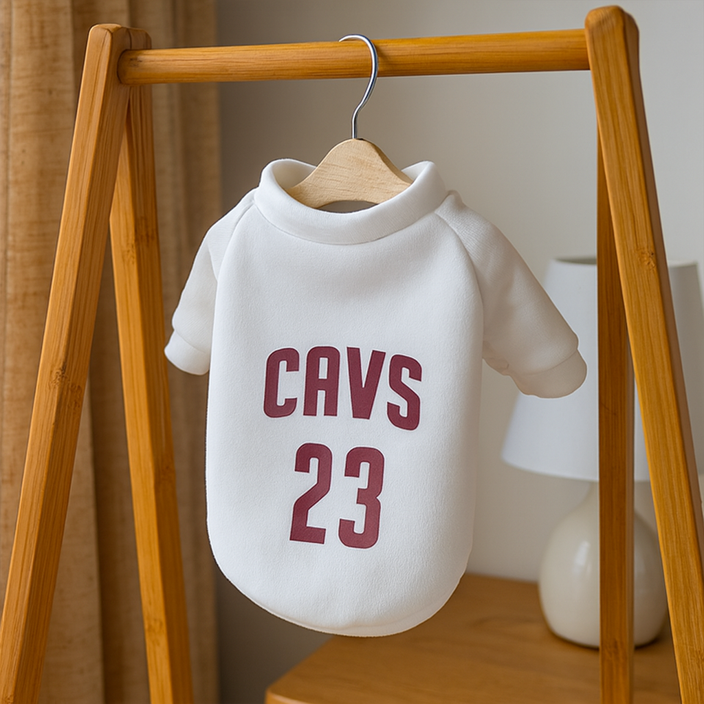 Moletom de Inverno Pet Estilo NBA