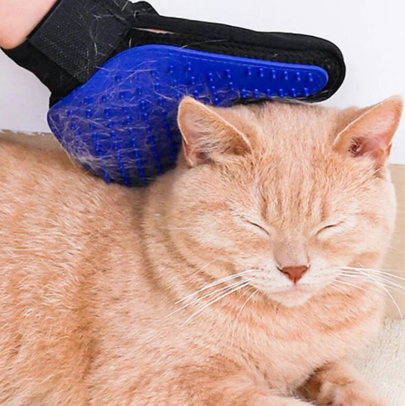 Luva Tira Pelos Magnética para Pets