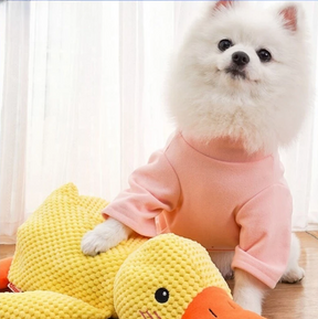 Brinquedo Pelúcia Mordedor Pato Sonoro para Cães