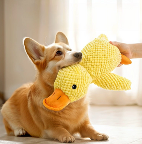 Brinquedo Pelúcia Mordedor Pato Sonoro para Cães