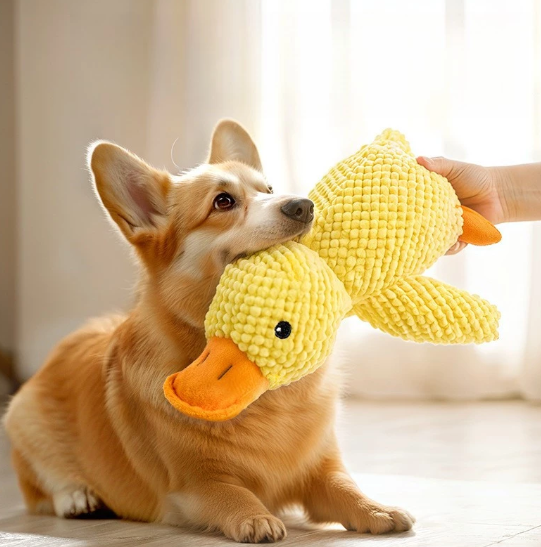 Brinquedo Pelúcia Mordedor Pato Sonoro para Cães