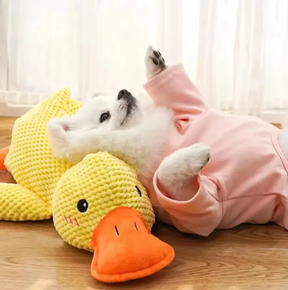 Brinquedo Pelúcia Mordedor Pato Sonoro para Cães