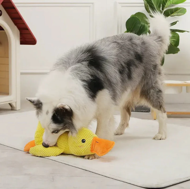 Brinquedo Pelúcia Mordedor Pato Sonoro para Cães