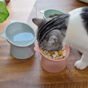 Comedouro Elevado Antiengasgo para Pets