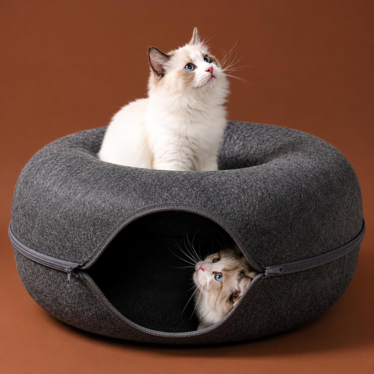 Cama Túnel Donut para Gatos 2 em 1 – Conforto e Diversão