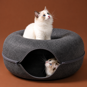 Cama Túnel Donut para Gatos 2 em 1 – Conforto e Diversão
