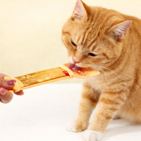 Colher Espremedoura de Sachê Para Gatos