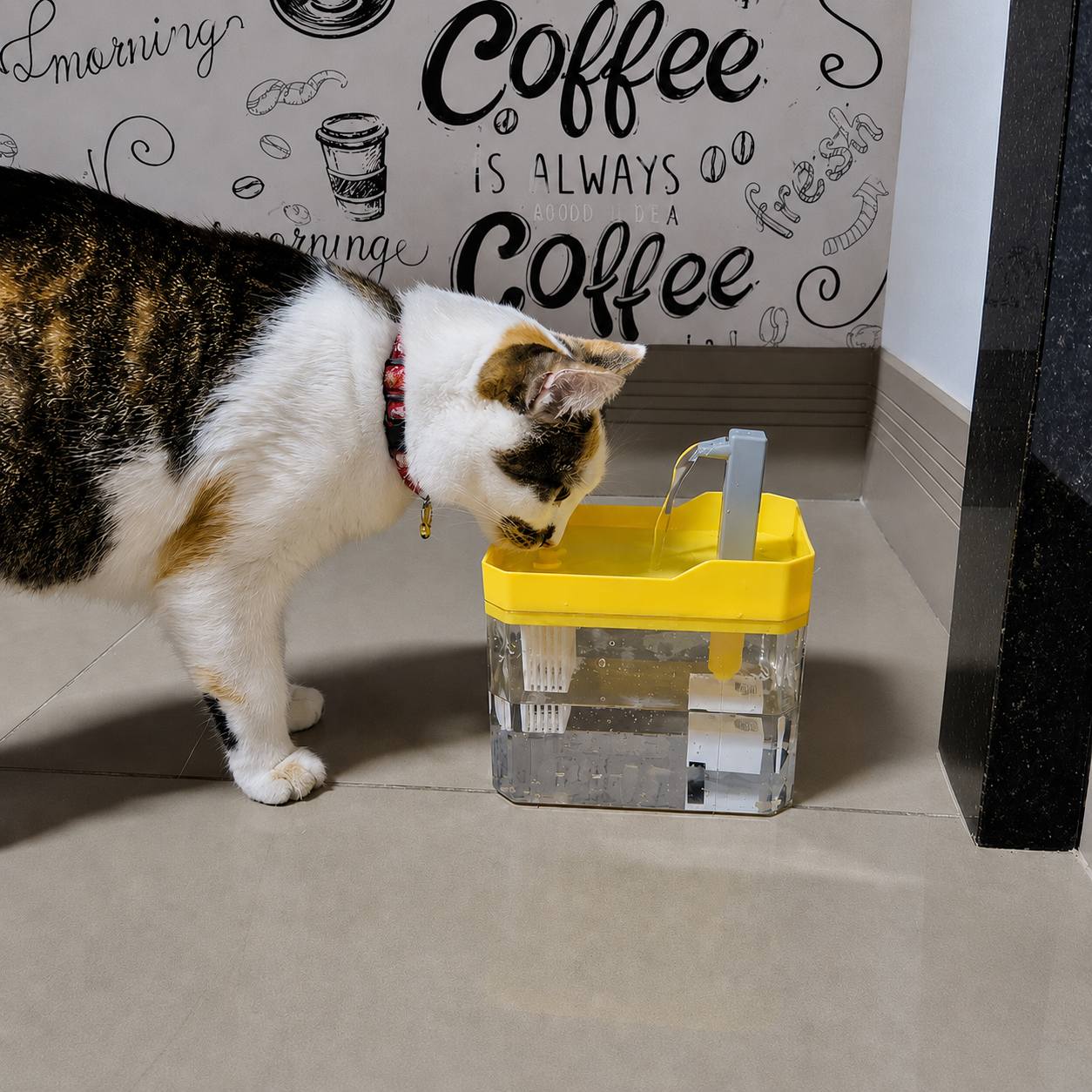 Fonte Automática para Pets com Filtro 1.5L | Bomba Silenciosa