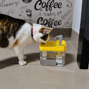 Fonte Automática para Pets com Filtro 1.5L | Bomba Silenciosa