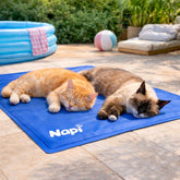 Tapete Gelado para Pets