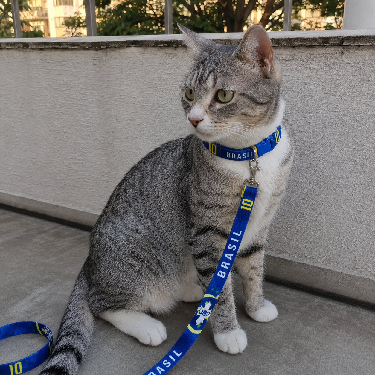 Coleira + Guia Para Cachorro e Gato Reforçada Copa 2026