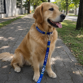 Coleira + Guia Para Cachorro e Gato Reforçada Copa 2026