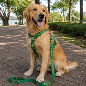 Peitoral + Guia Para Cachorro Brasil Copa 2026™