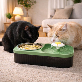 Fonte Bebedouro 3L com Comedouro Flower – Pets