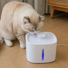 Fonte Automática Pets- Com filtro 3L