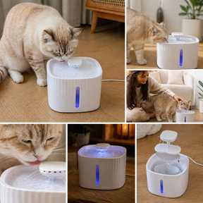 Fonte Automática Pets- Com filtro 3L