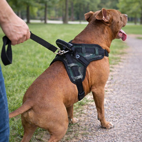 Peitoral Resistente com Guia Antipuxão para Cachorros Fortes