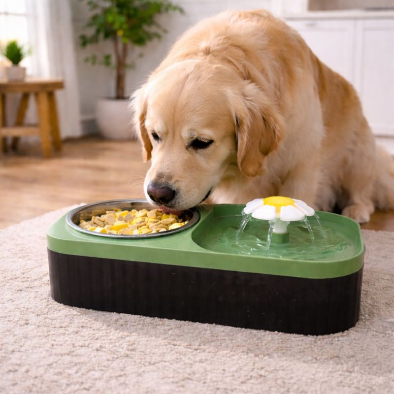 Fonte Bebedouro 3L com Comedouro Flower – Pets