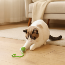 Bola Interativa Recarregável para Gatos