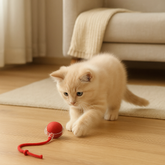 Bola Interativa Recarregável para Gatos
