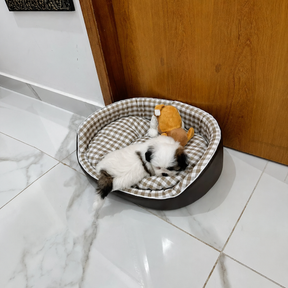 Cama Impermeável e Resistente para Cachorros e Gatos
