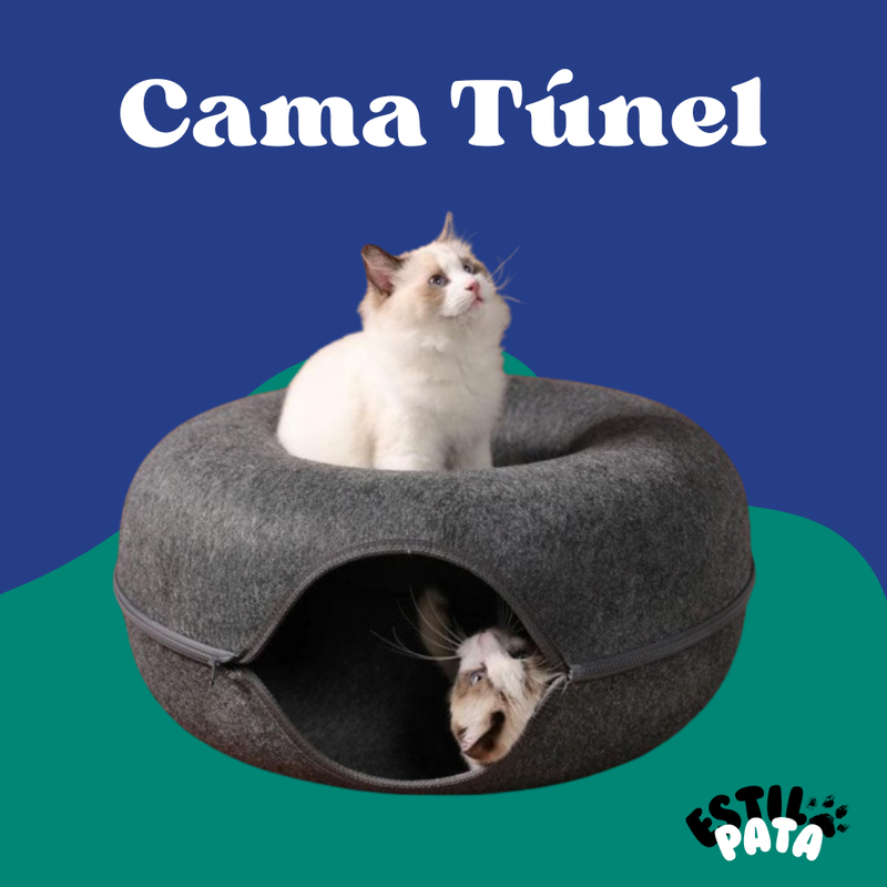 Túnel de Gato Donut