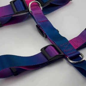Peitoral para Cachorro Anti Fuga Ajustável – Conforto e Segurança no Passeio